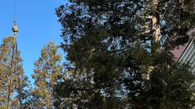 Working on elevated place Photo