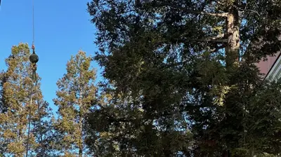 Working on elevated place Photo