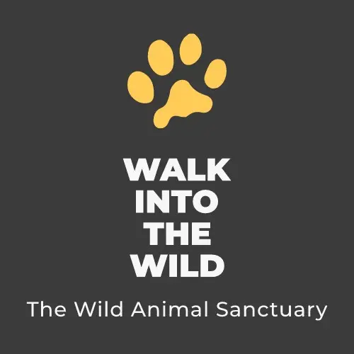Walk Into The Wind - The Wild Animal Sanctuary